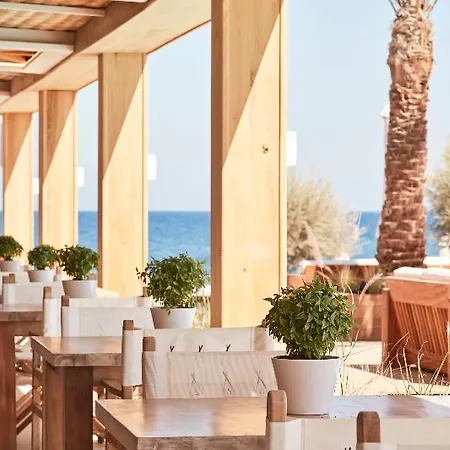 Mediterranean Palace 酒店 4*