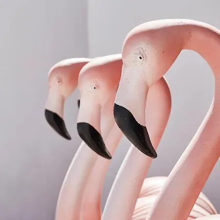 ホテル Mediterranean Palace 4*