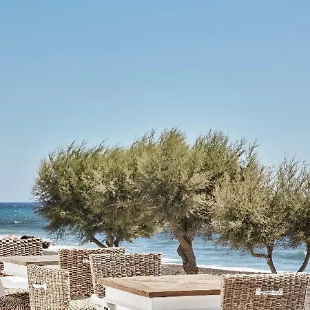 Mediterranean Palace 4*